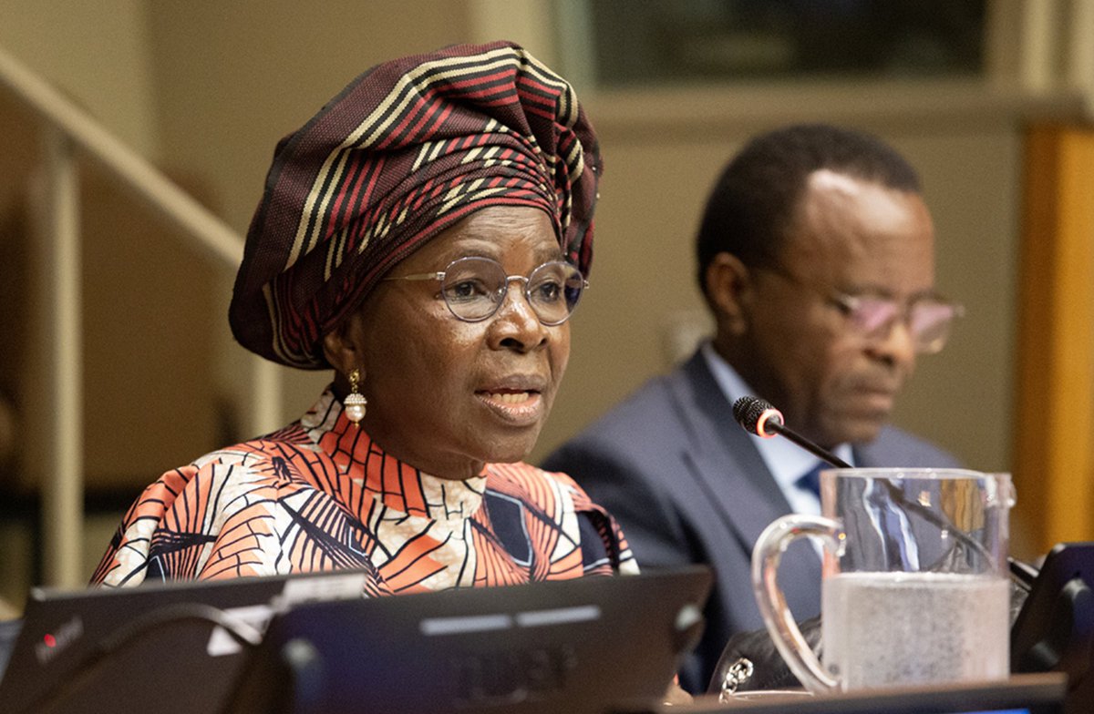 IISD_ENB's tweet photo. #UNFF Secretariat Director @Kjulybiao presented on “Building a shared vision: priorities, achievements & future opportunities,” citing the aim for the Secretariat, #UNSPF & #GFGs to improve support for #SFM & trigger more financial support from UNFF members. #UNForests @UNDESA https://t.co/FfAultpomg
