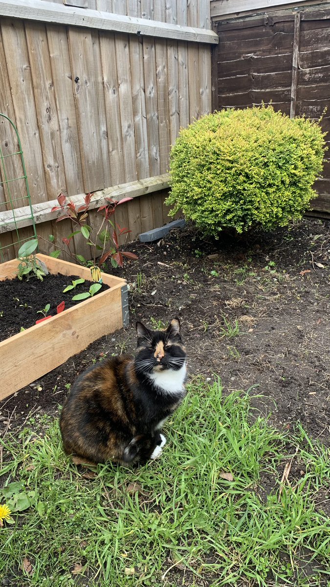 turtlethetortie's tweet photo. cate that blink’s at gay pepol https://t.co/z1INllulSh