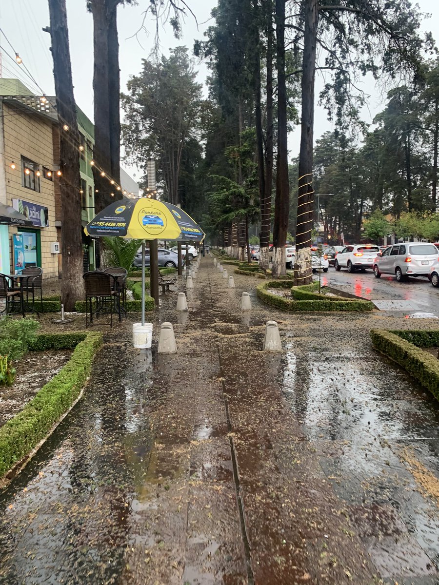 Luuuiis NG(:🦇 tweet media