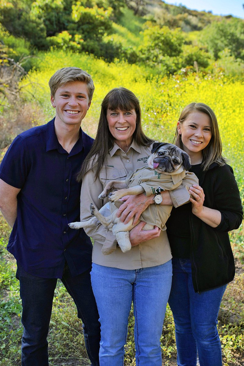 itsdougthepug's tweet photo. G’Day! These are the most wholesome photos to ever exist. 🐊 https://t.co/BPi9jF8iVx