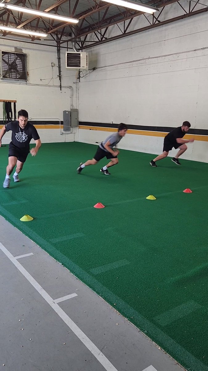 Strength Fitness and Speed tweet media