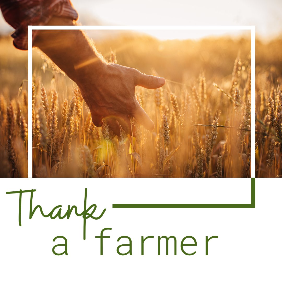 To the 2% of the population who work tirelessly to make the hundreds of thousands of agricultural products that we rely on every single day - thank you.​​​​​​​​
​​​​​​​​
#thankafarmer #agriculture #feedingtheworld #agronomy #agronomist #cropquestions #agqconnect
