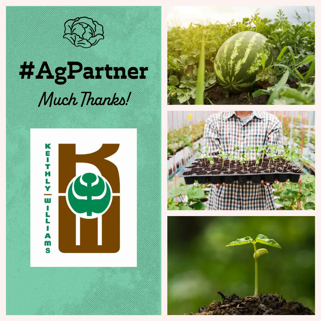 YCEDA_DesertAg's tweet photo. Proud to call Keithly-Williams our #AgPartner. They specialize in seeds, and fabrication and have a state-of-the-art nursery facility! Check them out on FB and on Instagram. https://t.co/rqcDOLWe8r https://t.co/7LTXovDCo1