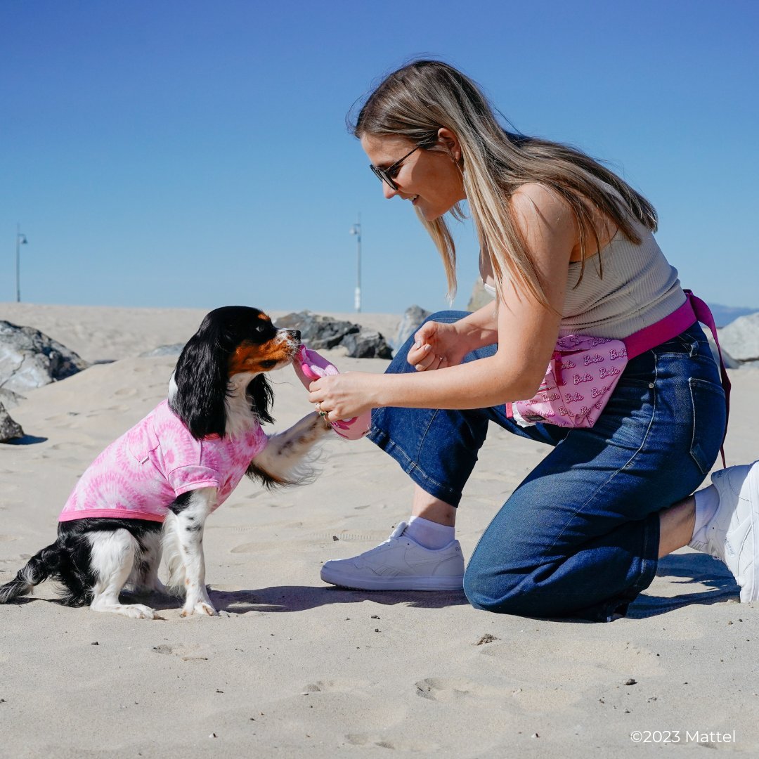 HealthySpot's tweet photo. Introducing the Barbie™ x Canada Pooch Collection - Functional, yet fashionable, these iconic limited-edition toys, accessories and apparel pieces are now available in store and online! Shop through at the link below 🛍️🐾
https://t.co/MsmGrZ9Ysw
#Barbiedog #Barbie #CanadaPooch https://t.co/kvlGBIdTS5