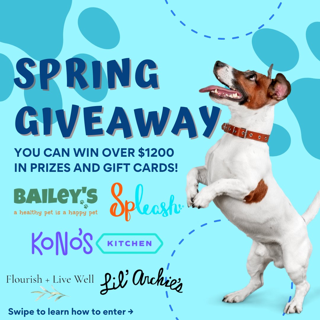 TailChasersLLC's tweet photo. You won't want to miss our Big Spring Pet #Giveaway! We've partnered with four pawsome companies - @baileyscbd, @lil_archies, @itskonoskitchen and @flourishandlive- to give away over $1000 in prizes!

To enter simply scan the QR Code and submit your info! https://t.co/sARd5tVCX8