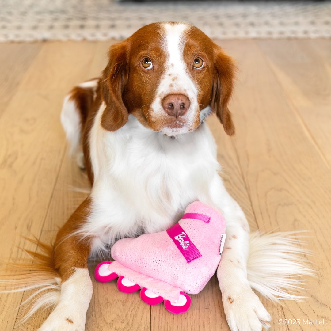 HealthySpot's tweet photo. Introducing the Barbie™ x Canada Pooch Collection - Functional, yet fashionable, these iconic limited-edition toys, accessories and apparel pieces are now available in store and online! Shop through at the link below 🛍️🐾
https://t.co/MsmGrZ9Ysw
#Barbiedog #Barbie #CanadaPooch https://t.co/kvlGBIdTS5