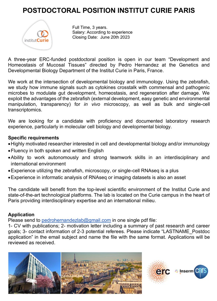 Pedro Hernandez (@zebragut) on Twitter photo 📢 We are hiring!
ERC-funded 3y postdoc position combining #devbio #Immunology <a href="/institut_curie/">Institut Curie</a> #Paris
Join us to do zebrafish live imaging, genetics and transcriptomics to decipher how cytokine-microbe crosstalk tunes gut development, homeostasis and regeneration
Please RT! 📢 We are hiring!
ERC-funded 3y postdoc position combining #devbio #Immunology <a href="/institut_curie/">Institut Curie</a> #Paris
Join us to do zebrafish live imaging, genetics and transcriptomics to decipher how cytokine-microbe crosstalk tunes gut development, homeostasis and regeneration
Please RT!