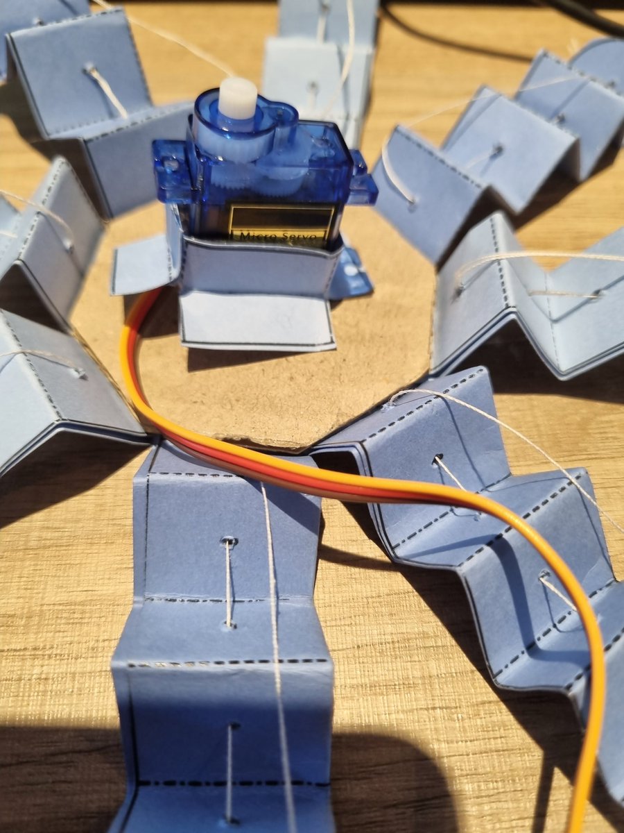 Daniela lyra tweet media