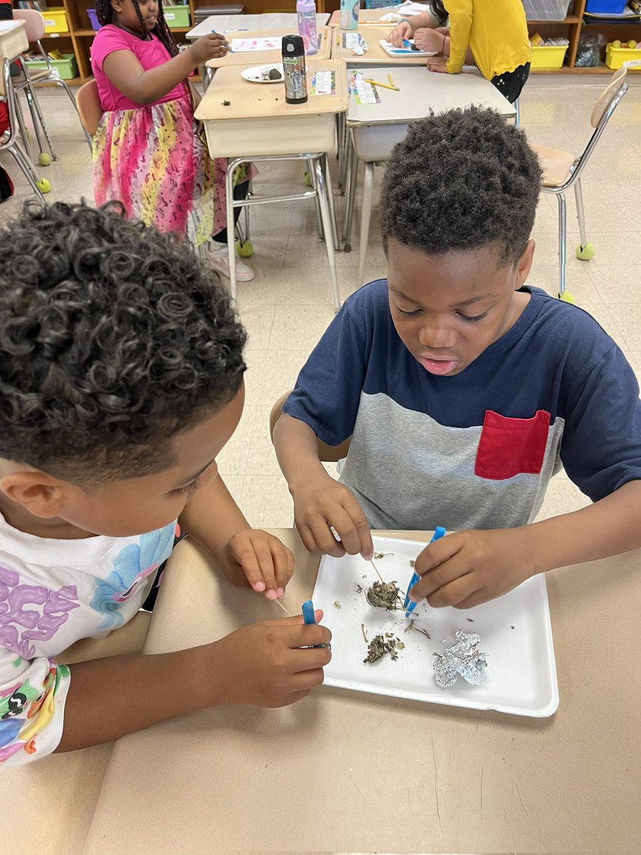LaurieCorrNPSD's tweet photo. OWL PELLETS!! Ss looked for bones in their owl pellets, and tomorrow we’ll see if we can piece them together to make a whole rodent skeleton. Science is the best! 🦉🦴🤗#3rdgradescientists  @FOSSscience @OakPark_NPSD https://t.co/zFJKK67XYL