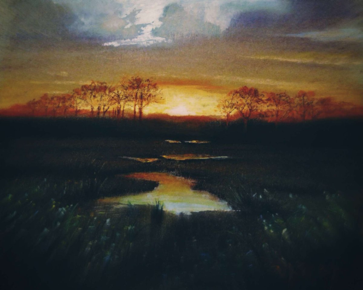 Xopo 🔺 tweet media