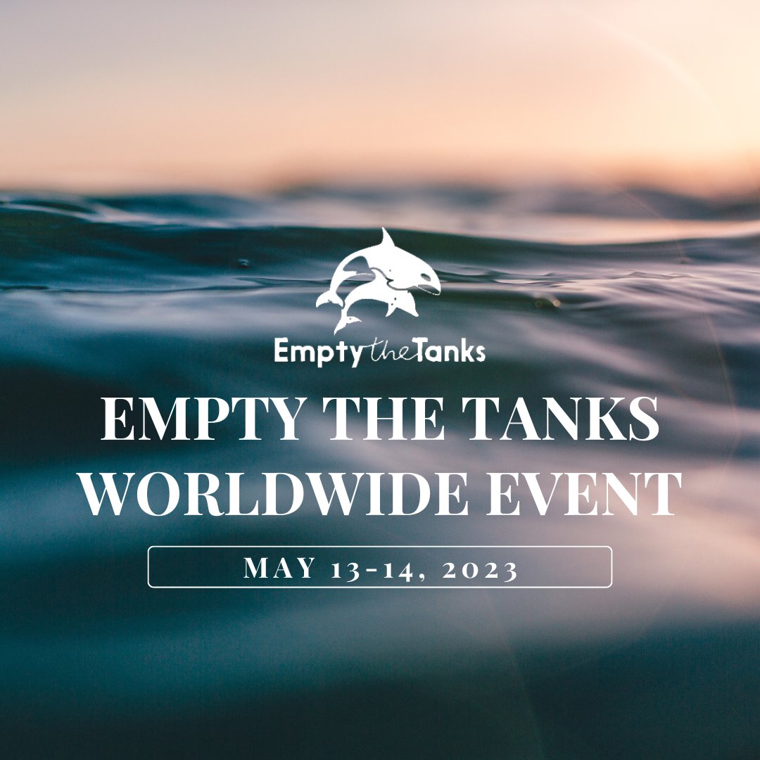 THIS WEEKEND 📢🐬 Find an #EmptyTheTanksWorldwide event location near you: emptythetanks.org/upcomingevents/ 🐬 ⁠
⁠
Please see individual location details for dates and times. Looking forward to seeing you all out there! #LetsProtectDolphinsTogether
#EmptyTheTanks #DolphinProject