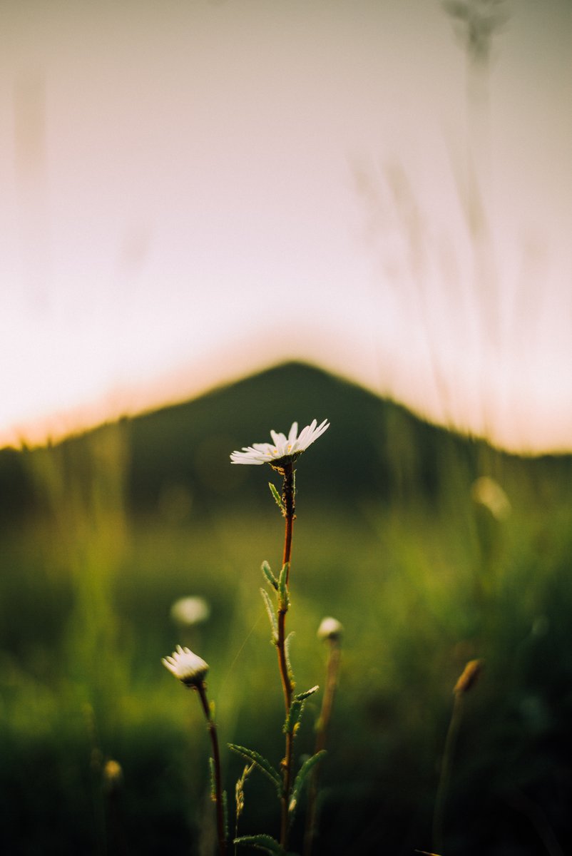 _inthemiddle_'s tweet photo. #leicacamera #leicam240p https://t.co/00dEvxEHev