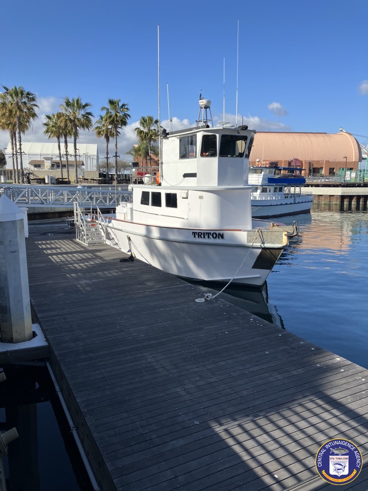 976tuna's tweet photo. Triton Catalina Island this FRIDAY! https://t.co/pHPz4xugom #triton #lawaterfrontsportfishing #fish #fishing #fishingtrip #oceanfishing #socalfishing #fishingtrip #goodtimes #hottrip #livebait #saltlife #saltwater #tasty #thetugisthedrug #sanpedro https://t.co/7FyQtA7J4X