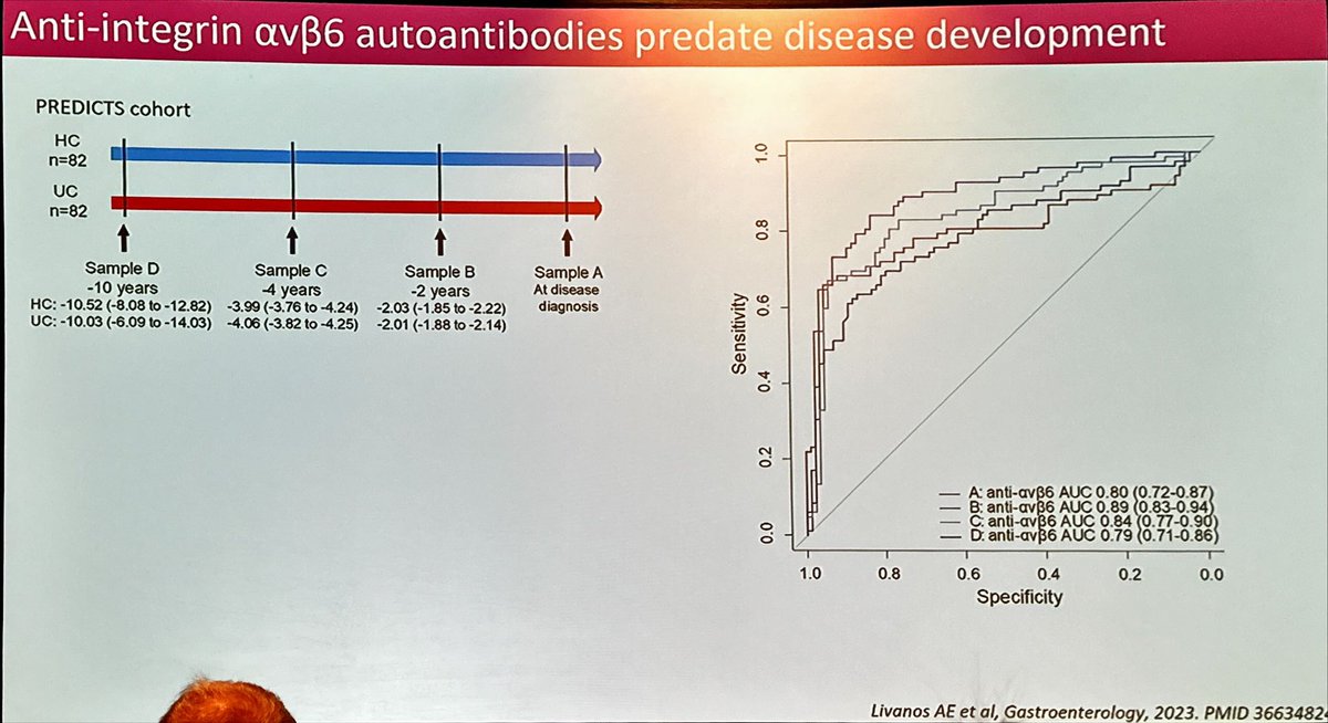 Beatriz Gros tweet media