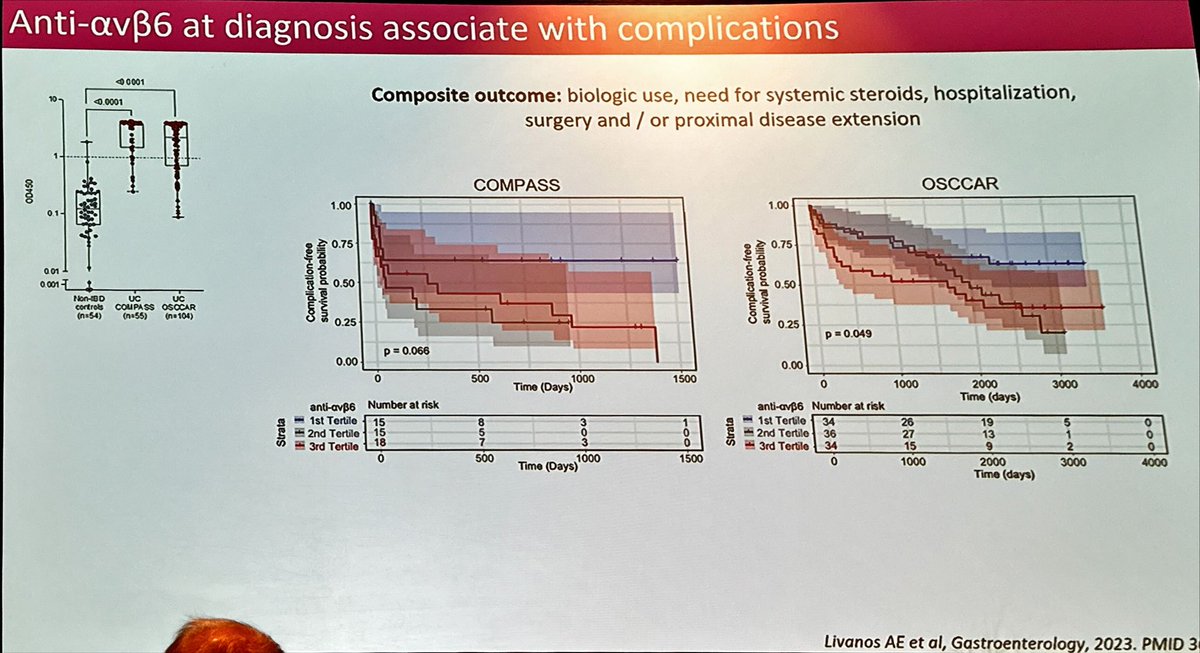 Beatriz Gros tweet media