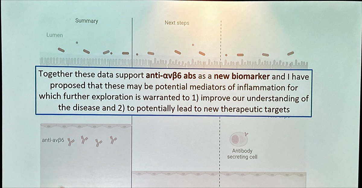 Beatriz Gros tweet media