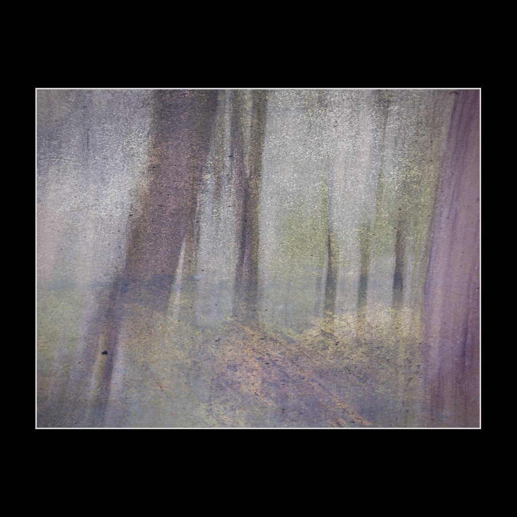 gerrycoe's tweet photo. Misty Forest #ICM #intentionalcameramovement @EngineRoomNI @TPGallery @photojack @TheAppWhisperer @InnovaArt https://t.co/foArViRauy