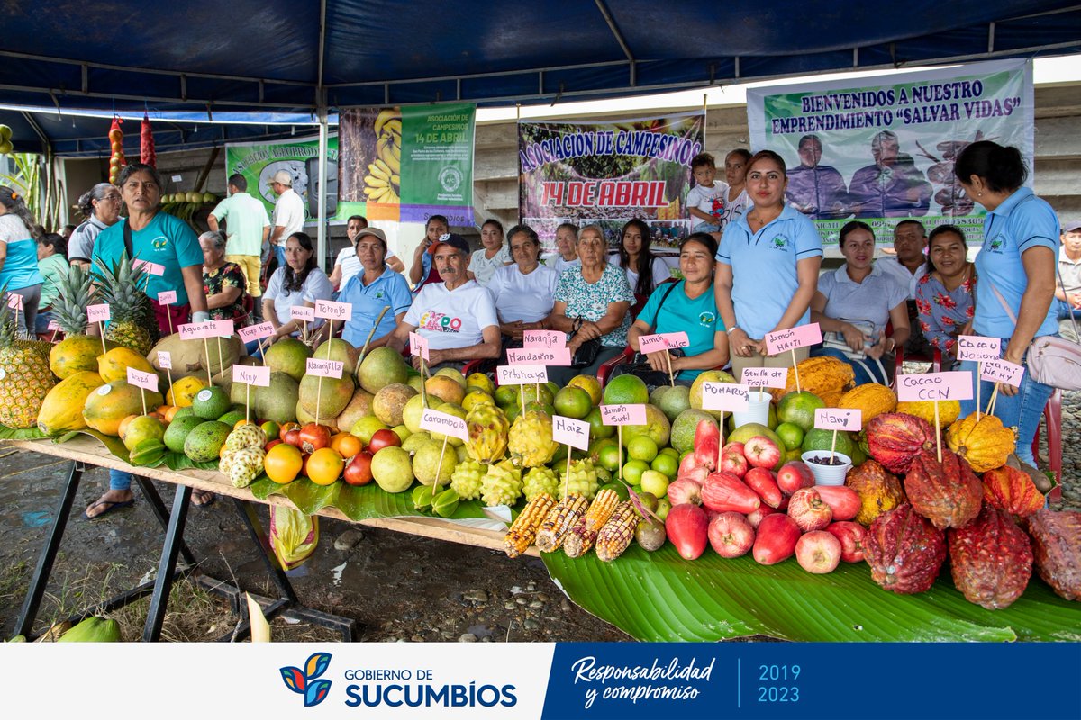 GobSucumbios's tweet photo. Por los 34 años de parroquialización de San Pedro de los Cofanes del cantón Shushufindi, el prefecto Amado Chávez fue el invitado de honor a la Feria Agropductiva.

#AmadoChávezPrefecto
#ResponsabilidadYcompromiso
#VivirMejor https://t.co/oiJn9KUVGg