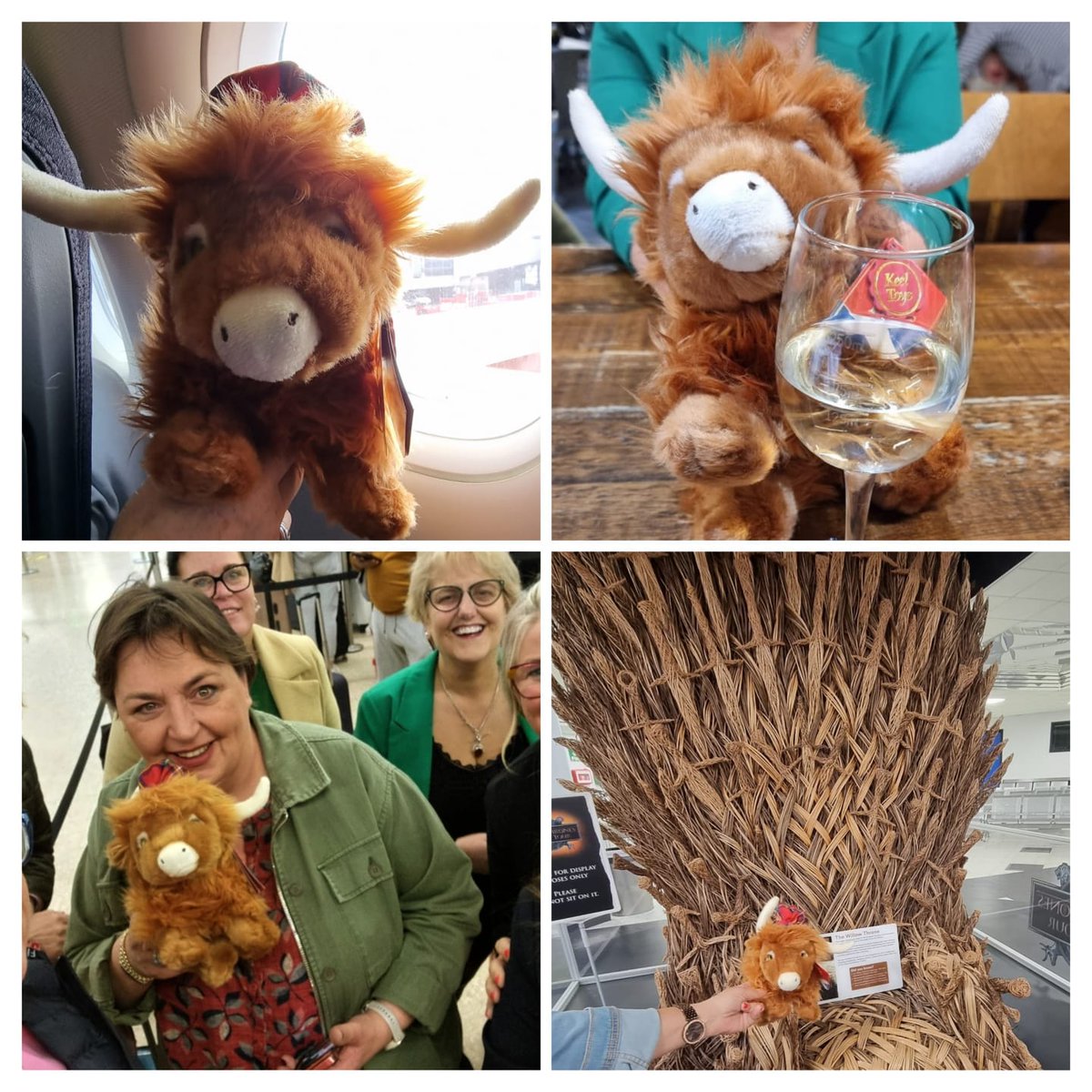 HCA_NIBranch's tweet photo. So you would understand why I was nervous so the gang got me a wine which settled me a little, but once i was up in the plain I was being shaken that much I was scared that I was going to change into a "milkshake " . We arrived back in Belfast, to find a large chair made of wood. https://t.co/qB8LgxzGpl