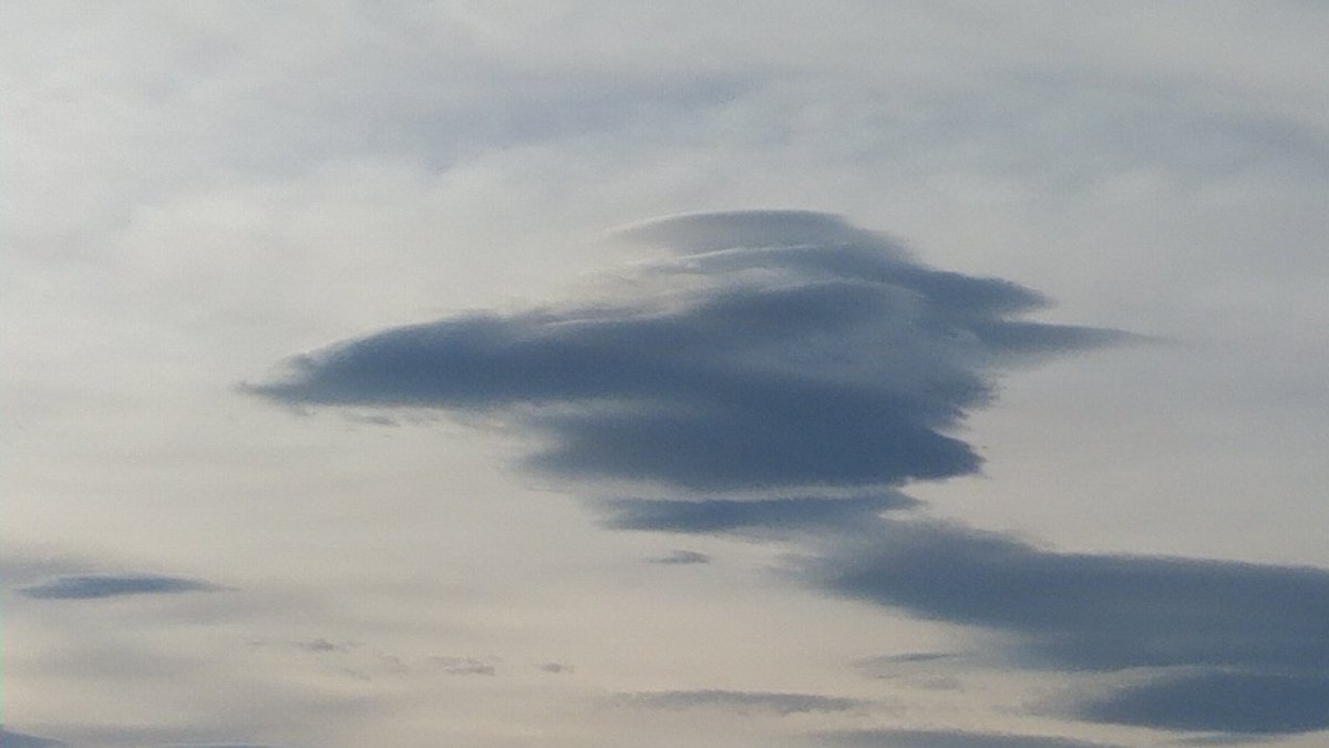 NThealfee's tweet photo. 昨日見た面白い雲
#CloudShip ? https://t.co/UA4z3xghdd
