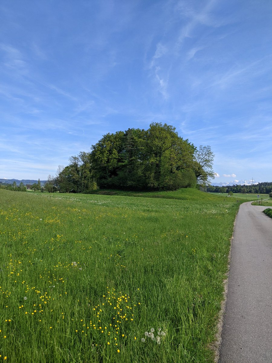 Wohl fühlen, feel peaceful and calm  #newhome #newchapter