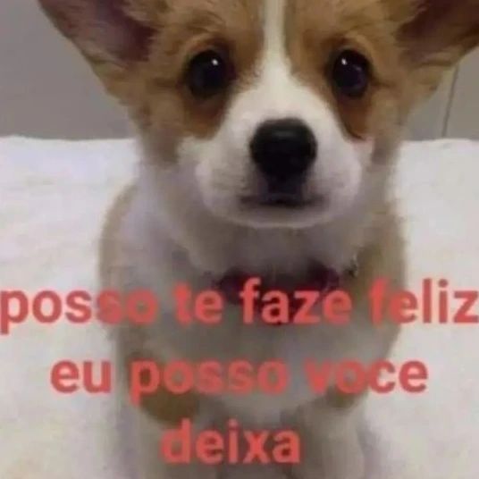 Frases aleatórias em baixa qualidade (@fraseslowqualit) on Twitter photo 