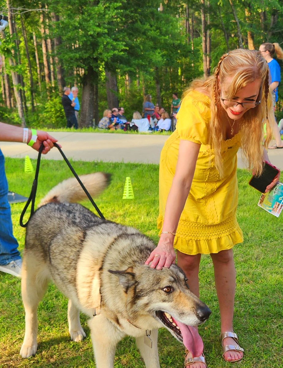 Unity & Diversity tweet media