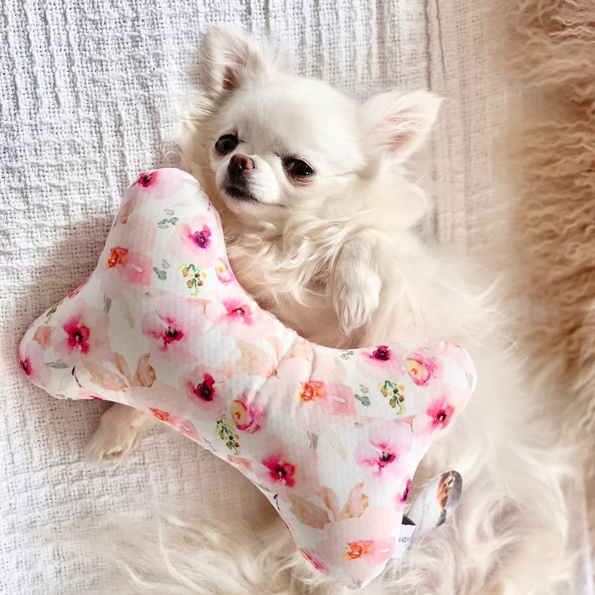 Our Plush Toy Bones are the perfect cuddly time accessory, just ask @sparklethetinychi! You can purchase them for 50% off + FREE SHIPPING! Just use the promo code: PUPPYLOVE at checkout! 💕#VanderpumpPets
