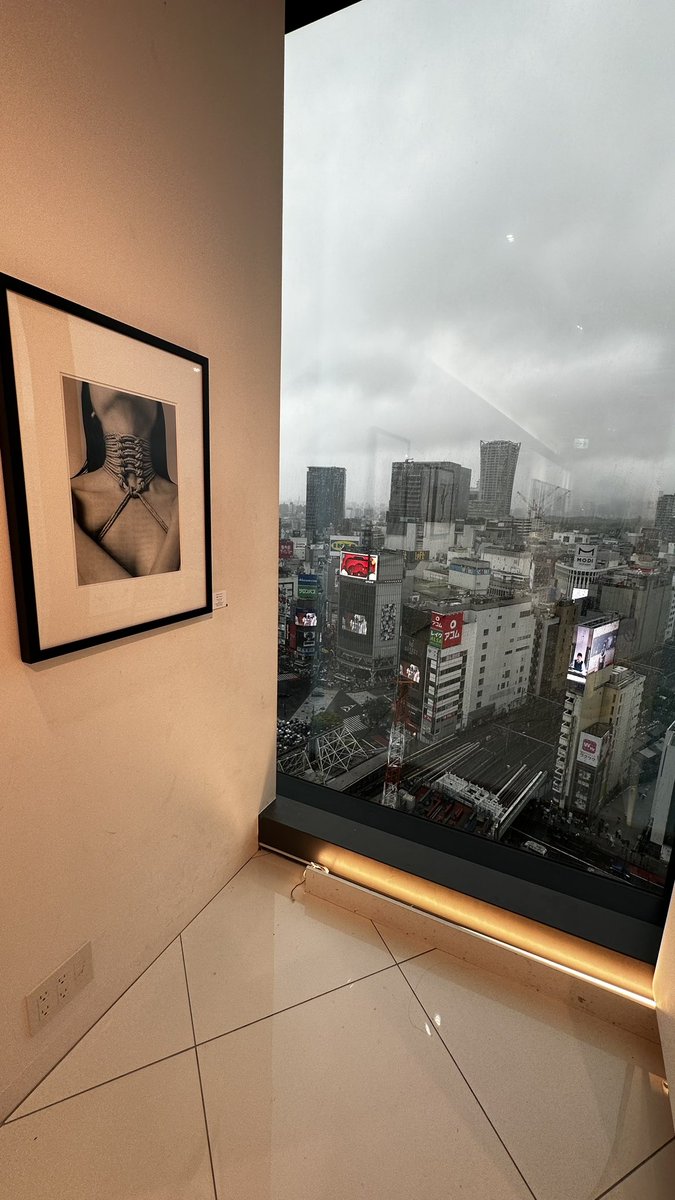 chewicket's tweet image. ナワナワ、スゴイネ🪢

#ウィケット #一鬼のこ #緊縛美装 #渋谷スクランブルスクエア