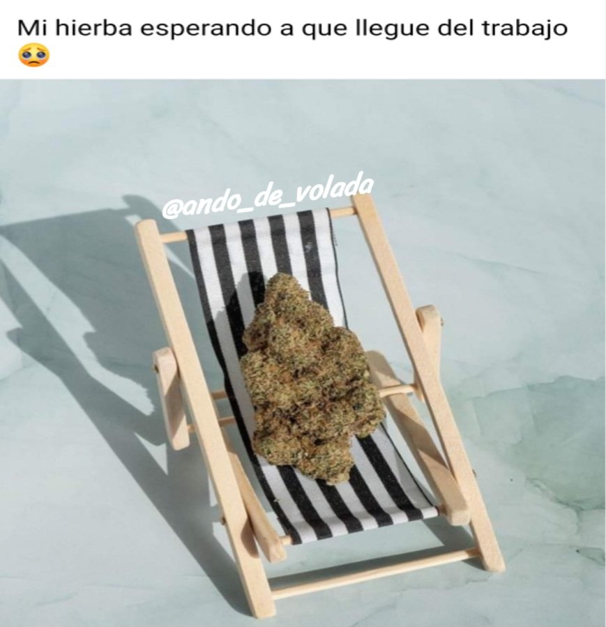 ando_volada_'s tweet photo. https://t.co/NPb2IhNyR0
