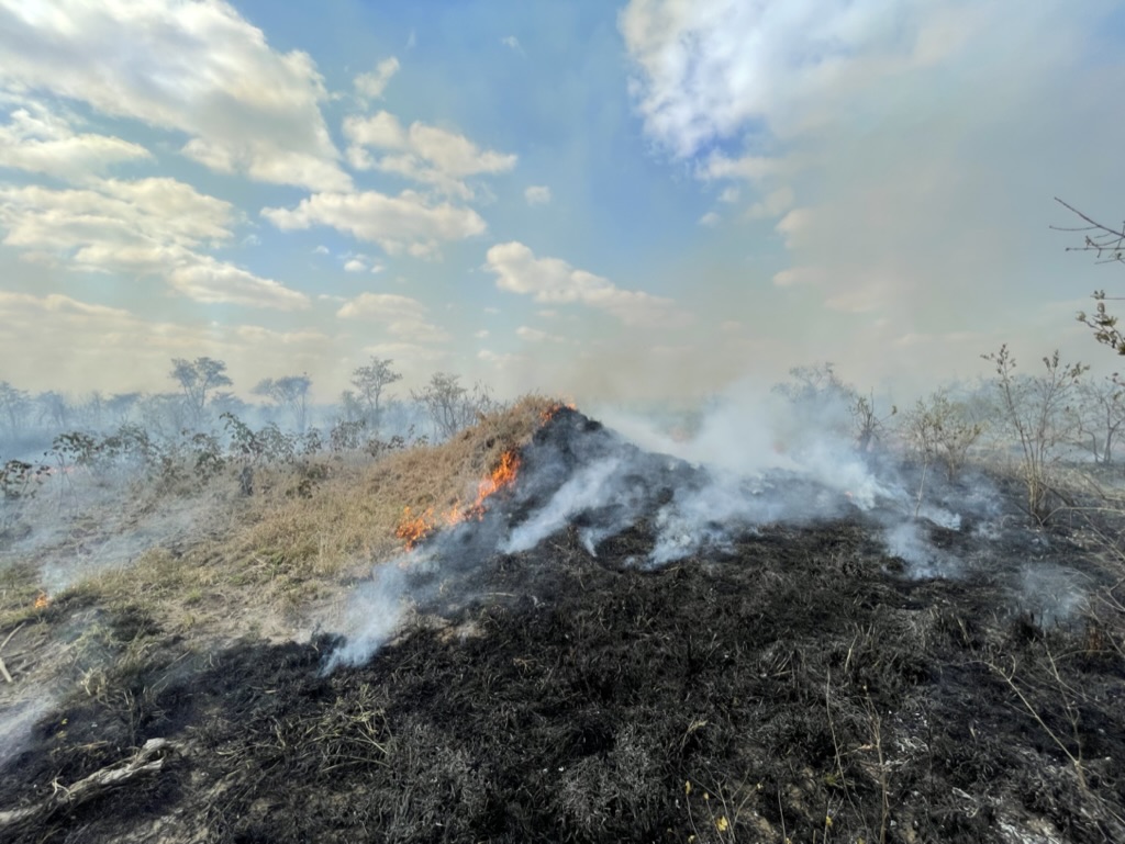 Yale Institute for Biospheric Studies tweet media