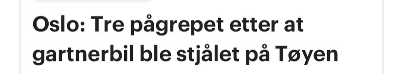 LarsHelgeE's tweet photo. Hva om treet var stein? https://t.co/BNNUGvtkDj
