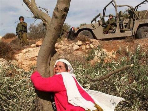 MY_MUSLIM's tweet image. More proof that the #ApartheidRegime🇮🇱💀 are suicidal #ecoterrorists💀