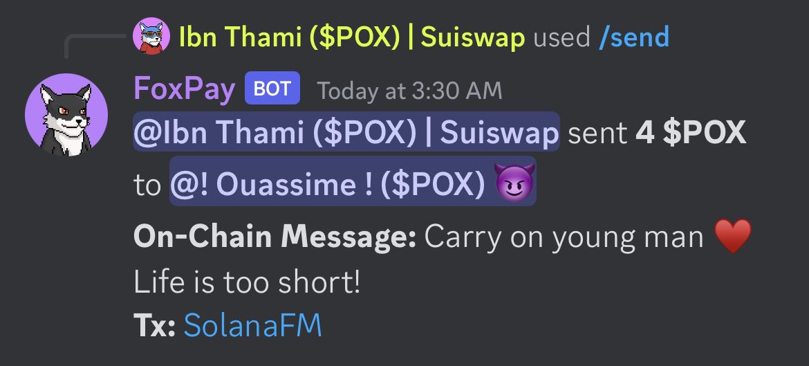 As part of our mission to onboard mainstream users to Web3 and Solana, I am proud to introduce FoxPay, our new Solana wallet bot. With FoxPay, anyone can easily generate a Solana wallet with just the command /create, eliminating the need to install a separate wallet or remember a