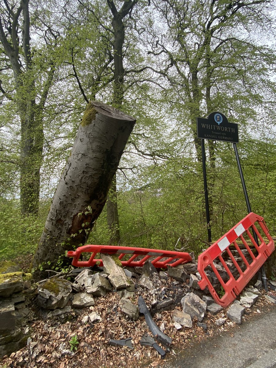 mulgrew_may's tweet photo. Hi folks, it’s been 15 months since this tree was uprooted by a storm, which also damaged the wall below and the Whitworth sign. Does anyone know who the best person is to contact at @RossendaleBC about this situation, would it be health and safety as it hangs over the walkway🤔 https://t.co/OpoydBDUL9