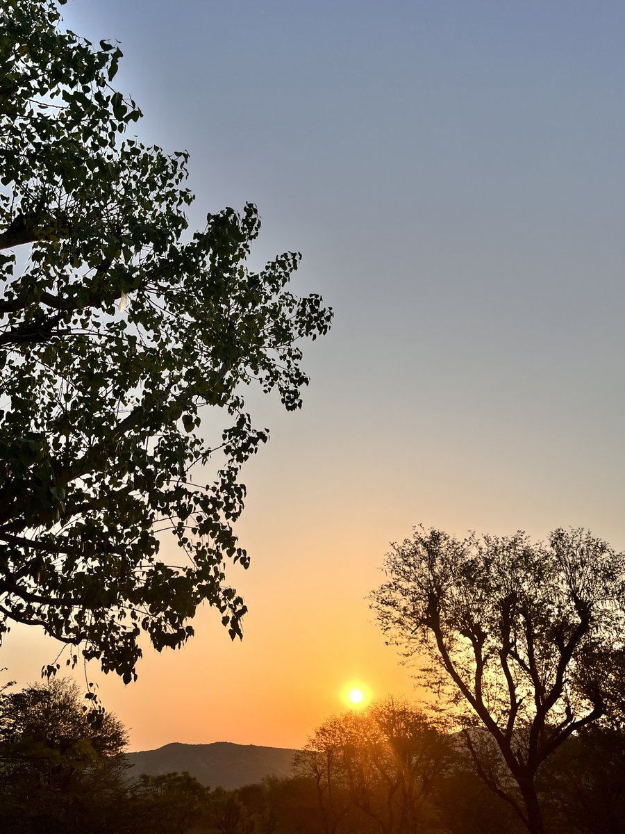 uff_amara's tweet photo. मन की ज़मीन कभी बंजर नहीं होती
इस पर एहसास के सूरज उगते रहते हैं - मेघा🍁 https://t.co/DgzBitixi8