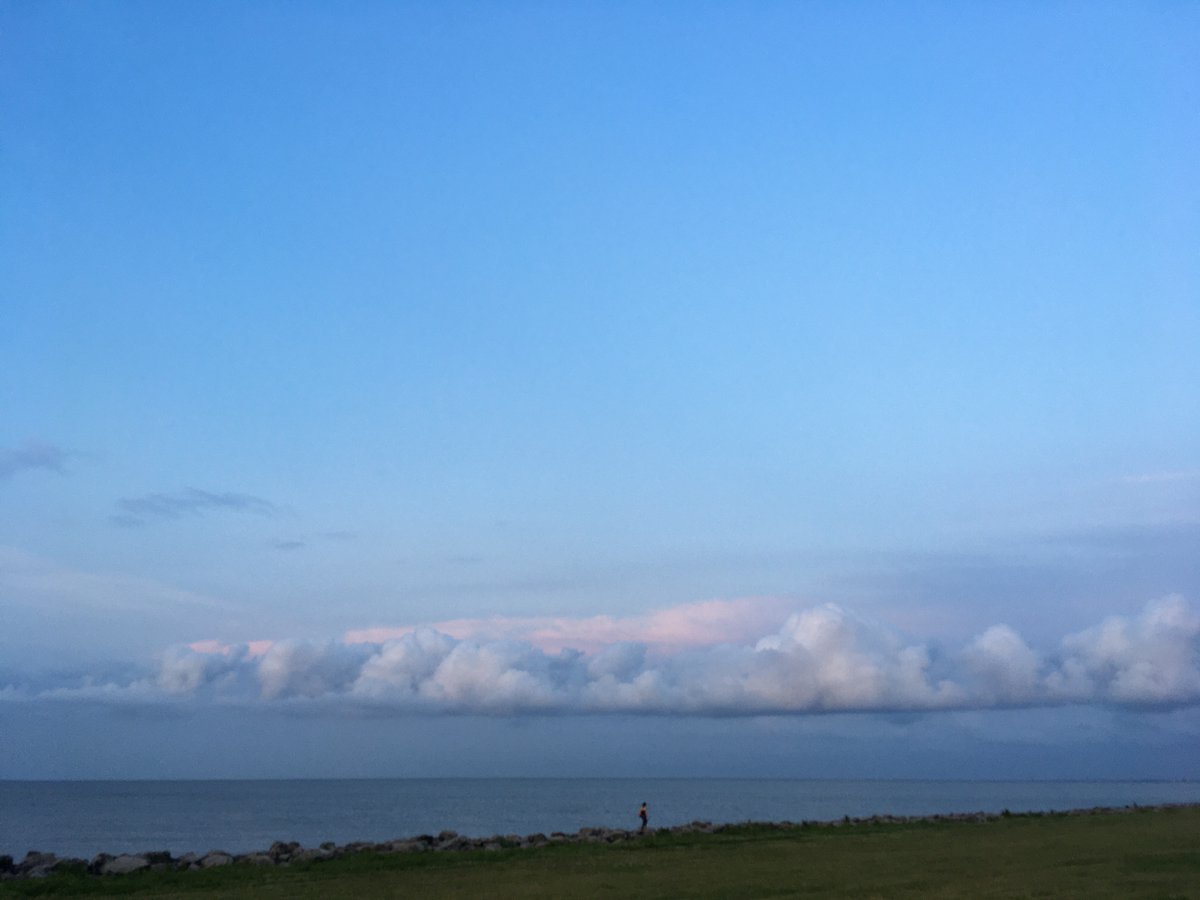 Yesterday’s #BlueJay and a “horizon” of #clouds over #LakePontchartrain