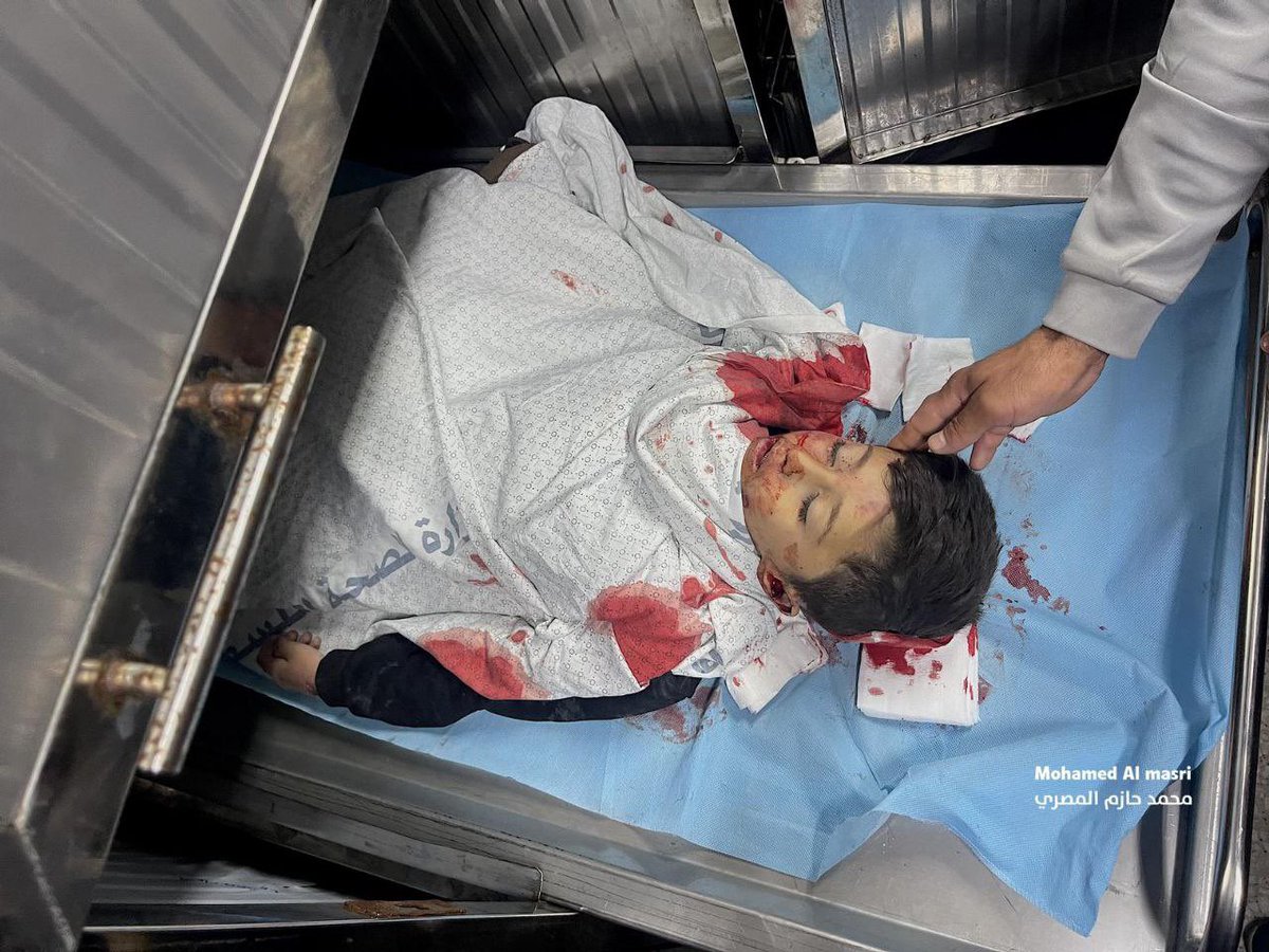 Timesofgaza's tweet photo. Update: 12 Palestinians killed in lsraeli airstrikes targeting Gaza Strip. https://t.co/nYNGC8zKsJ