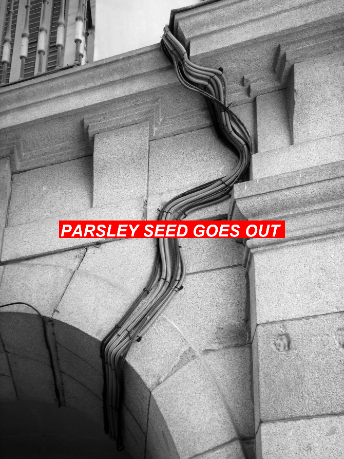 enkiv2's tweet photo. PARSLEY SEED GOES OUT #BarbaraHolzer #JennyKreuger https://t.co/moMOcRxQTK