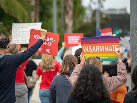Going to the mall (grocery story/park/temple/movies...) shouldn’t be a death sentence, but that’s our reality in America. Rally with us to reinstate a federal assault weapons ban this Saturday, text RALLY to 644-33. 
I'll be with the SFV <a href="/momsdemand/">Moms Demand Action</a> group in Burbank, join us!