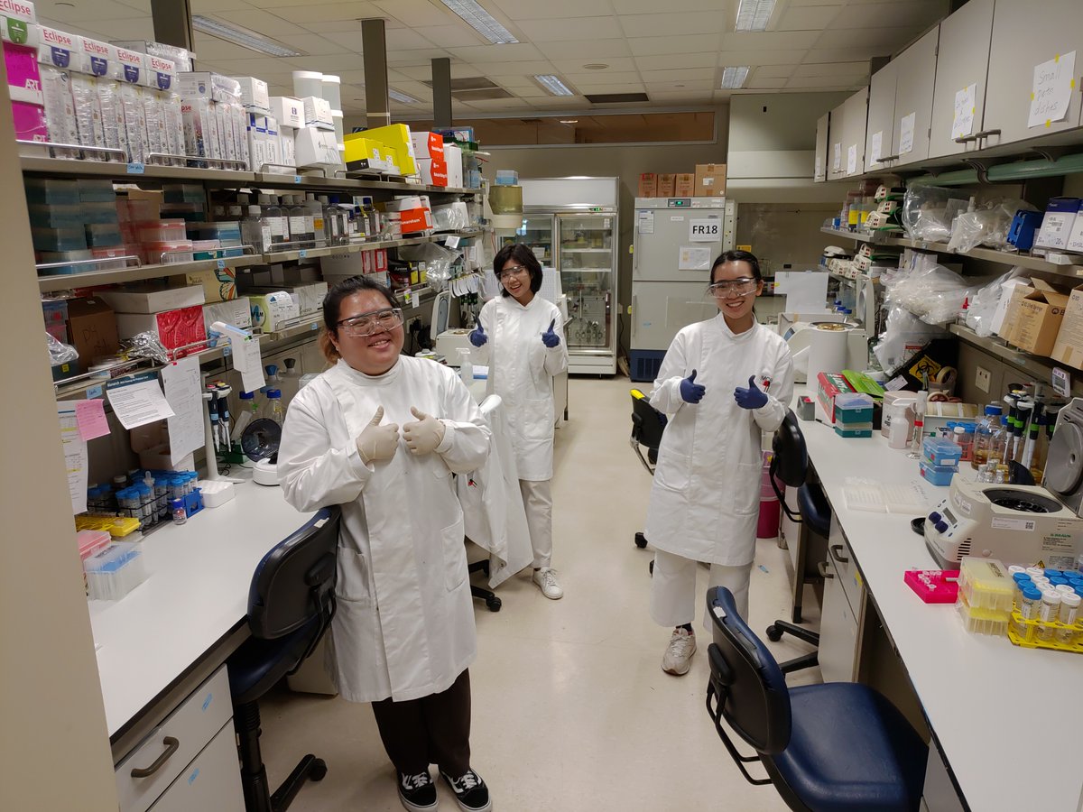 CellbiologyT's tweet photo. We are eagerly anticipating the A*CGT Pre-Symposium workshop Jointly organized by Dr Leslie Beh (A*STAR), SMART and ROCK! https://t.co/DamxjVkYH7
