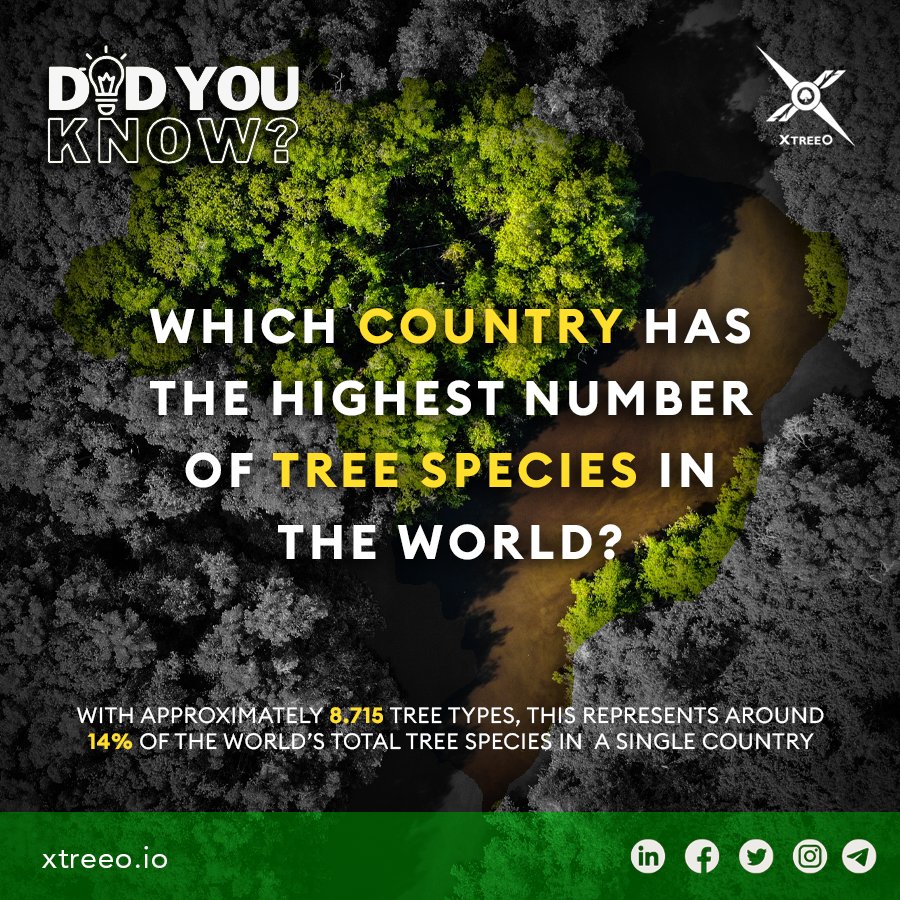 xtreeo's tweet photo. Can you guess the CounTREE?!

A high diversity of tree species is important for maintaining healthy ecosystems, mitigating the impacts of climate change, providing economic benefits, and preserving cultural heritage. 

Read more: https://t.co/YR8vr8ZpJt https://t.co/4YostlMjnh
