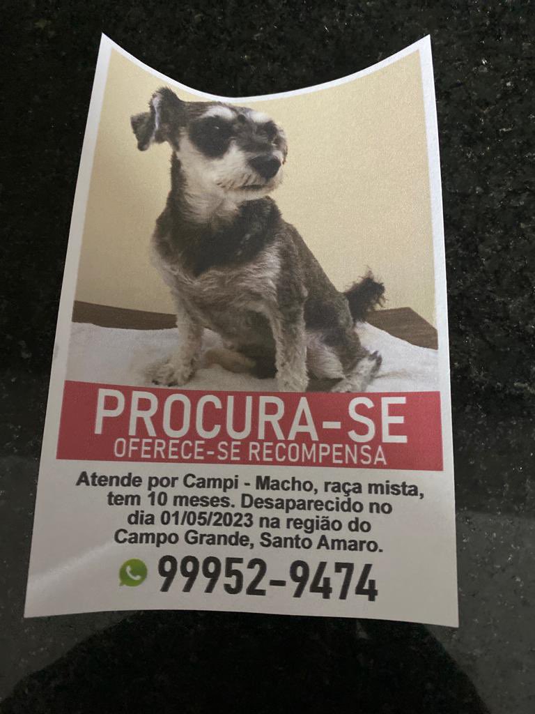 PedroNetto80's tweet photo. Gente, quem puder divulgar pra dar uma força! @nilmoretto @BichinhosFB @bichosquecuram @euteamobichos https://t.co/I8kCwwiVjt
