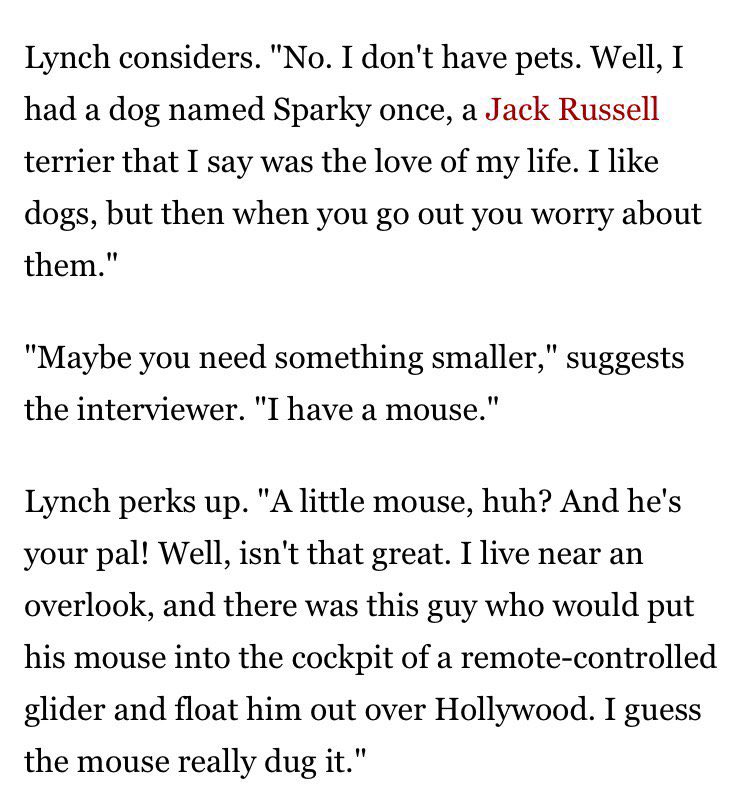 thinking about david lynch’s reaction to his interviewer having a pet mouse