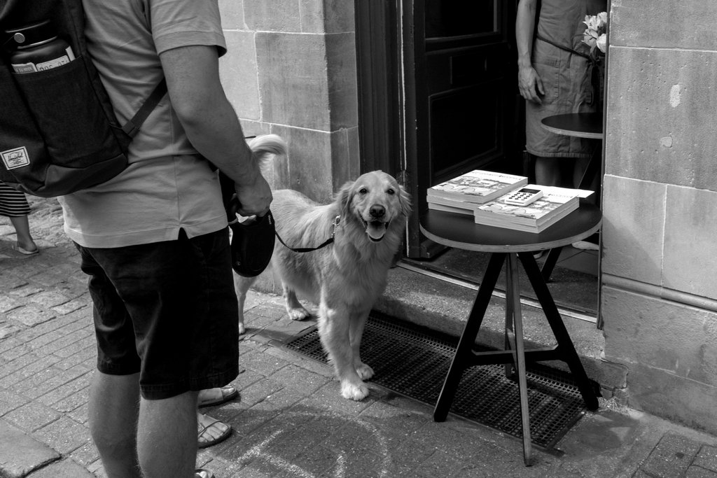 Dave Webb tweet media