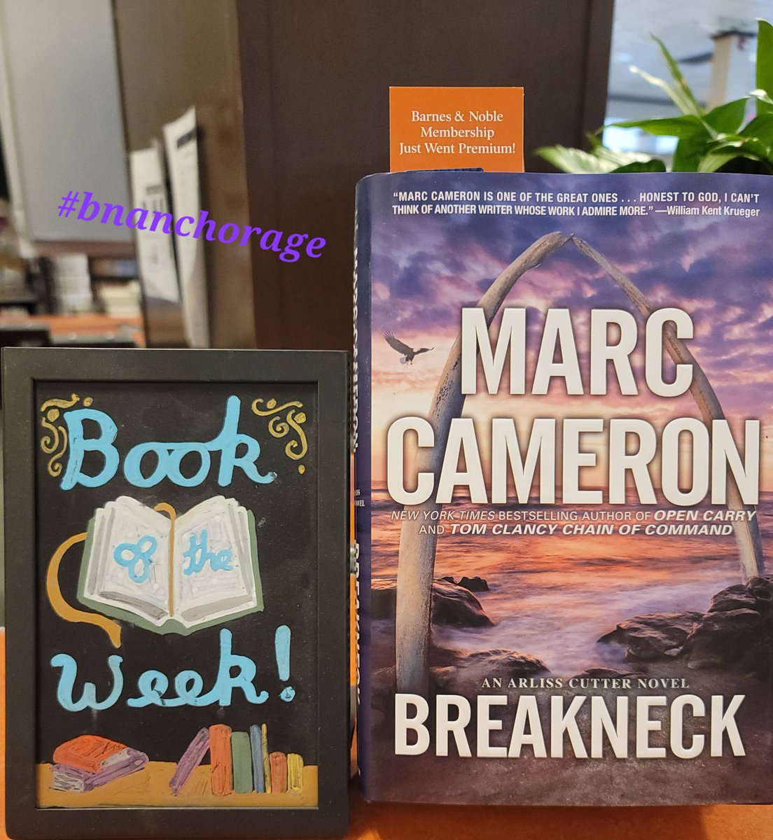 BNAnchorage's tweet photo. Check out our  #bookoftheweek. Breakneck by Marc Cameron. 
He will be visiting your #bnanchorage this Saturday from 1pm-3pm! Stop by and say Hi and get your copy signed! 

 #barnesandnoble #bnalaska #bnbuzz #booktalks #bookswithfriends #readwithus #localauthor #booksigning https://t.co/G2ZVEmT3GW