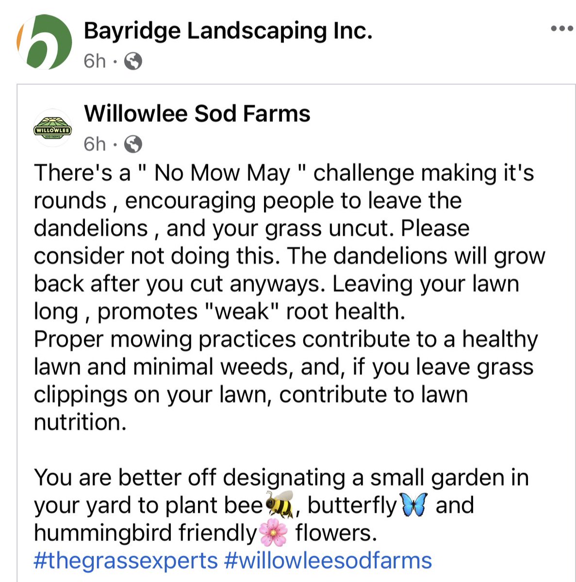 Bayridge Landscaping (@bayridge1984) on Twitter photo 