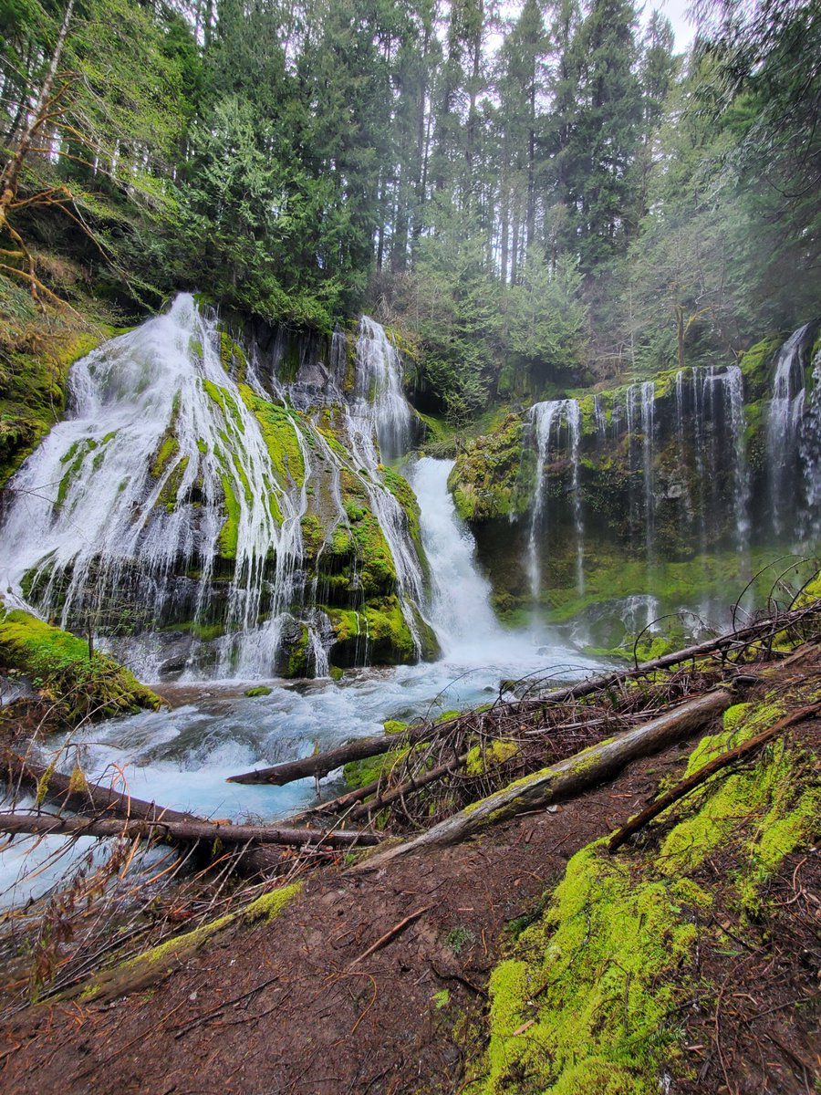 AngieMarieDreams tweet media