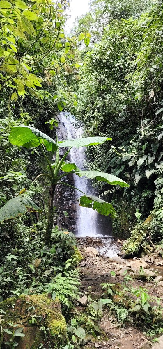 EUAmbEcuador's tweet photo. Siempre hay lugares espectaculares para descubrir en 🇨🇴. Este fin de semana, fueron la zona de #Intag y las lagunas de #Mojanda. https://t.co/RZ357TZcRI