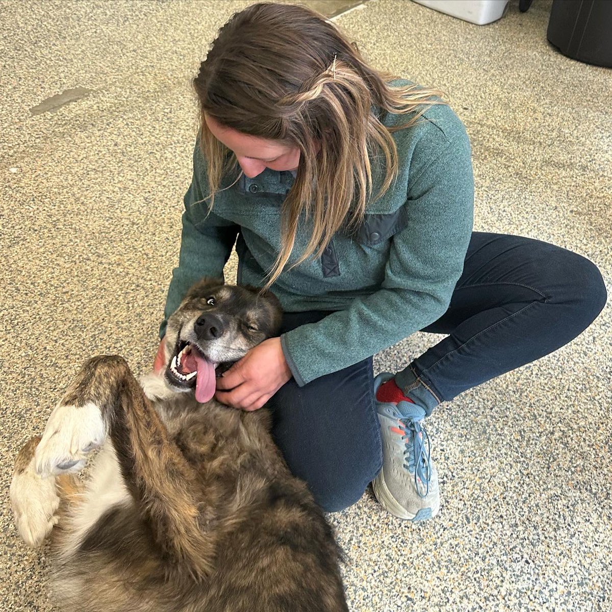 Missouri Valley College XC/TF tweet media